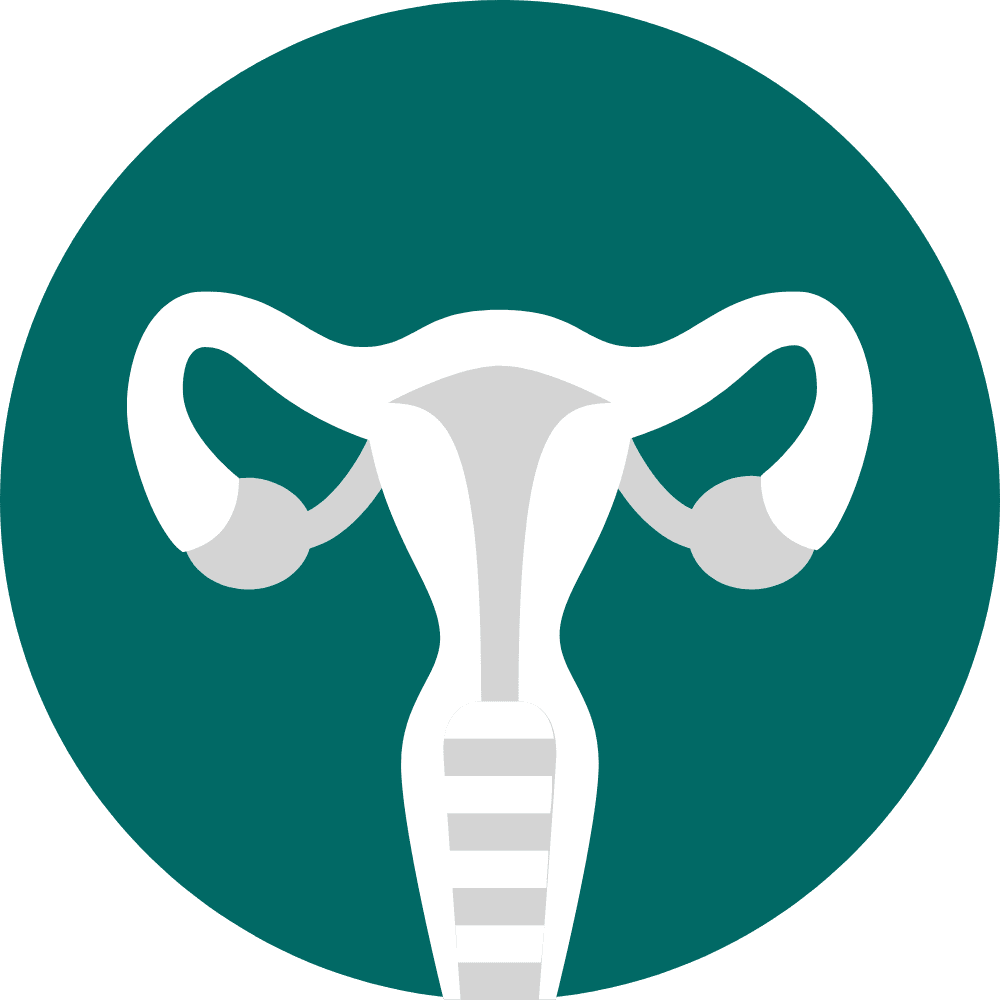 Gynecology icon