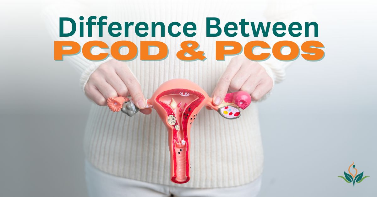 PCOD and PCOS: Causes, Symptoms, Differences and Treatment
